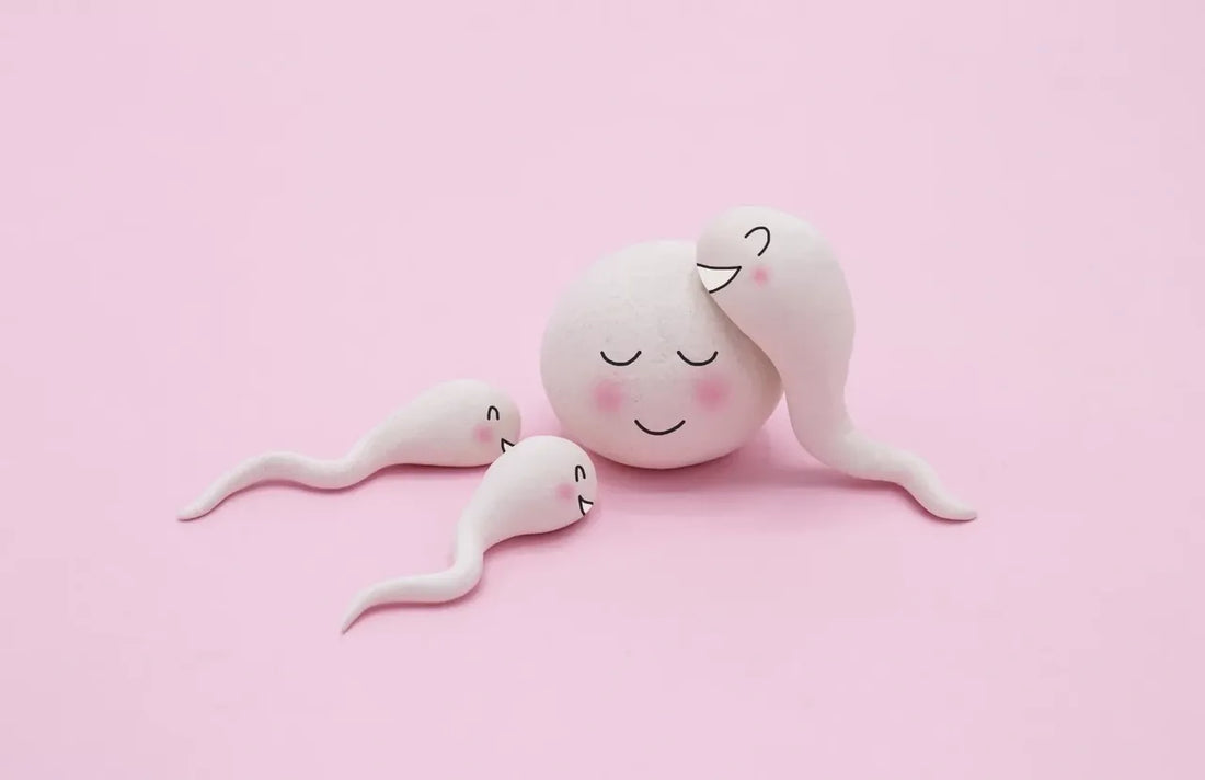 Fertility Crisis