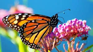 Spring into Spring!