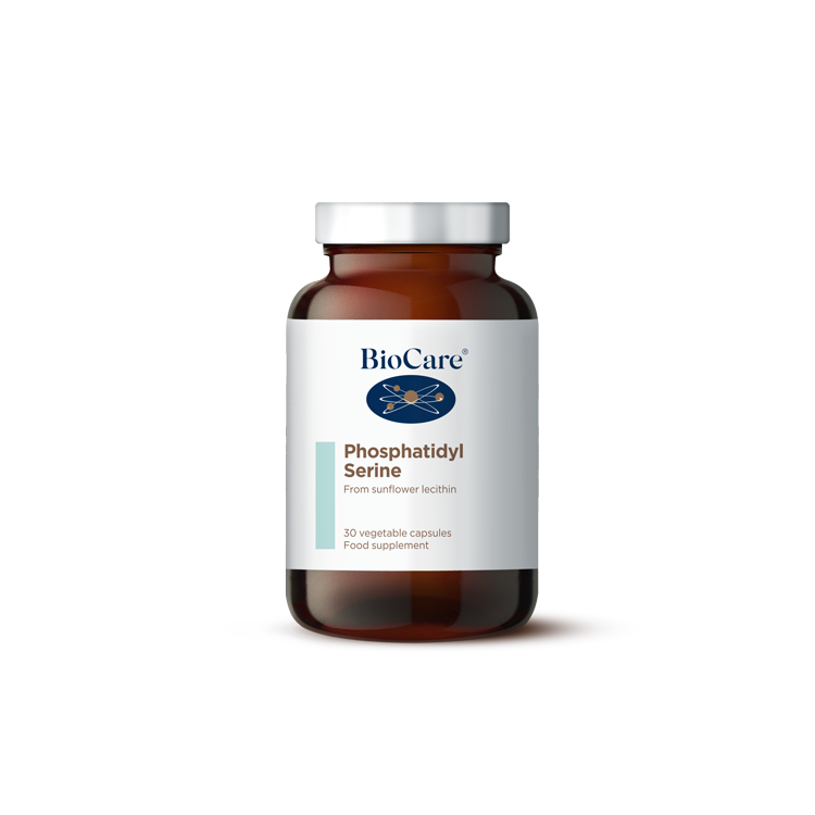 Phosphatidyl Serine