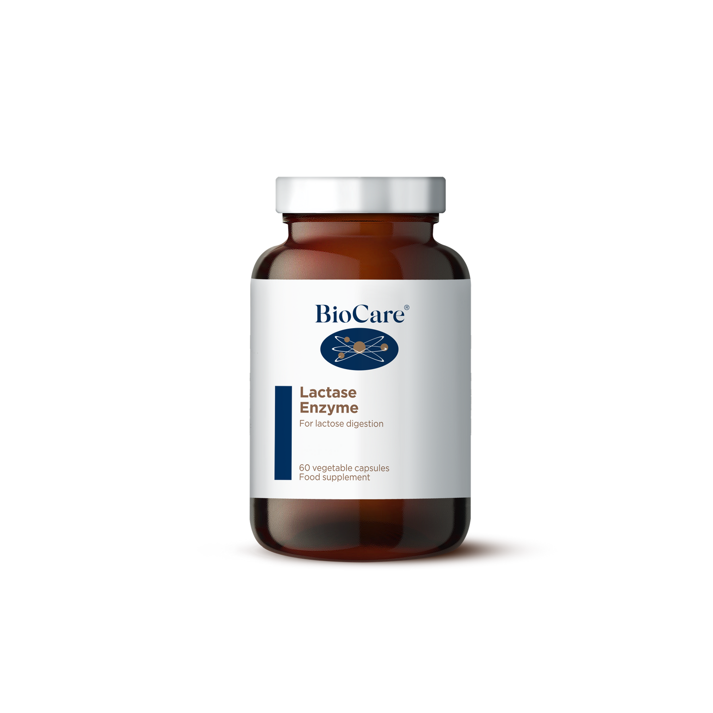 Lactase Enzyme