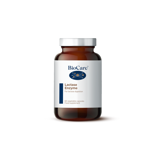 Lactase Enzyme